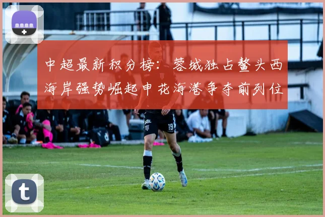 中超最新积分榜：蓉城独占鳌头西海岸强势崛起申花海港争夺前列位置